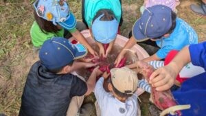 おいもゴロゴロ、秋の収穫祭。ビーバー隊