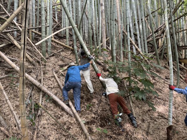 カブ隊・ビーバー隊指導者～流しそうめん準備