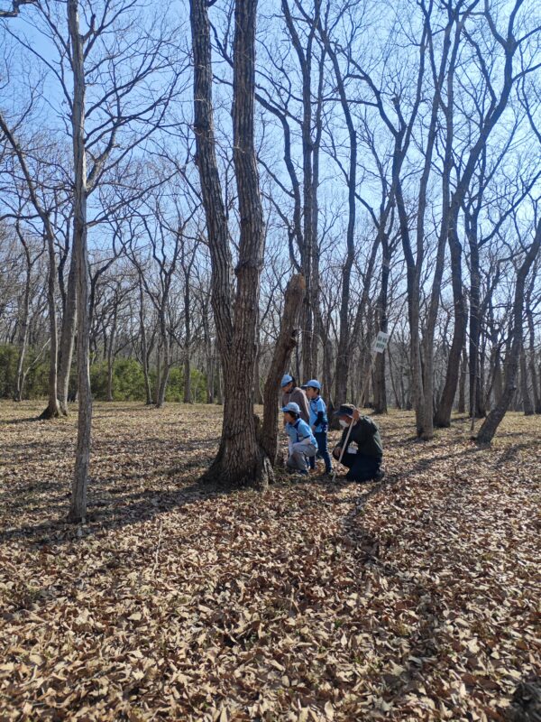 森のひみつを探せ！　ビーバー隊